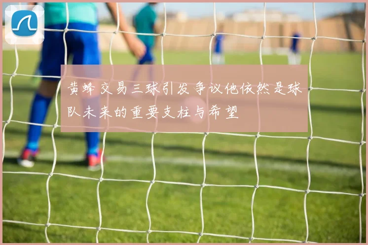 黄蜂交易三球引发争议他依然是球队未来的重要支柱与希望